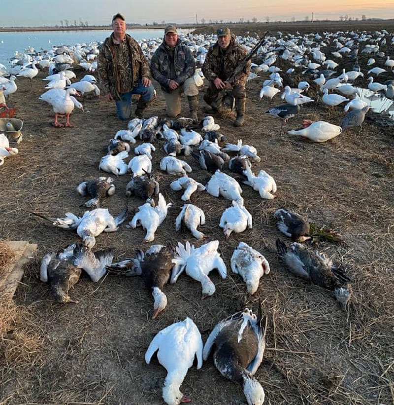 Snow Goose and Speck Hunting